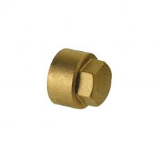 Bouchon plein femelle 3/4'' laiton
